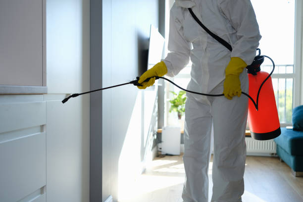 Crawl Space Mold Removal in Hudson Bend, TX