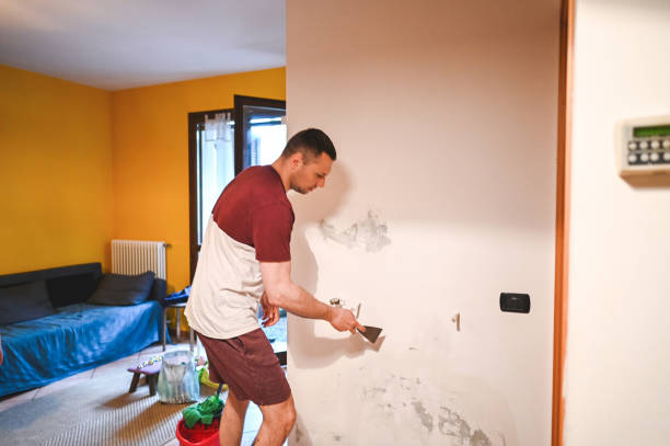 Mold Testing and Removal in Hudson Bend, TX