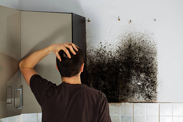 Certified Mold Removal in Hudson Bend, TX